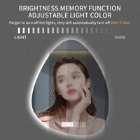 Miroir LED Salle de Bain Forme Organique Anti-Buée