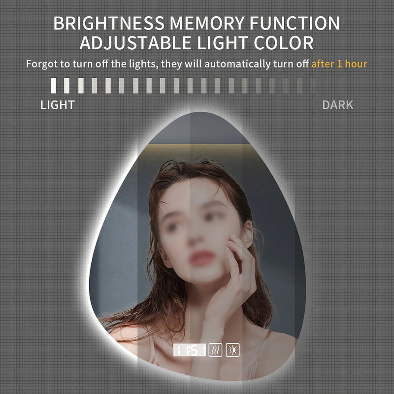 Miroir LED Salle de Bain Forme Organique Anti-Buée