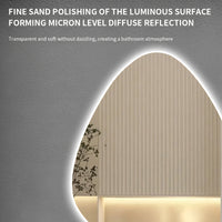 Miroir LED Salle de Bain Forme Organique Anti-Buée