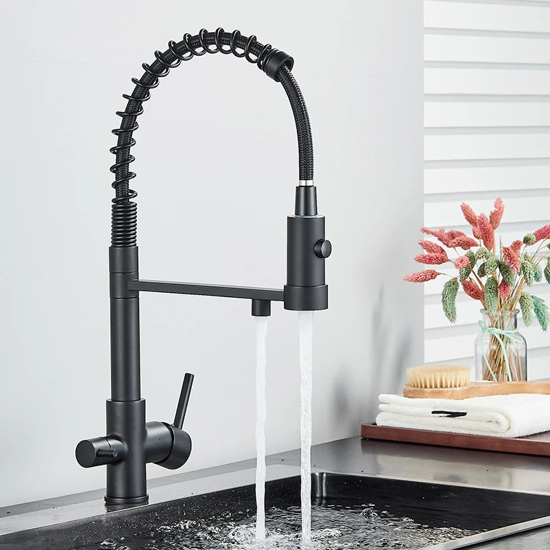 Mitigeur Cuisine 3 Voies à Ressort avec Douchette Extractible et Eau Filtrée