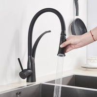 Mitigeur Cuisine Pivotant Laiton avec Douchette Extractible, 4 Finitions