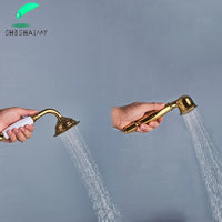 Robinet Baignoire sur Pied Col de Cygne Laiton avec Douchette, 4 Finitions