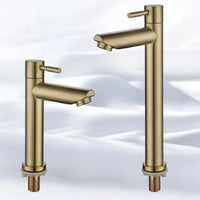 Robinet de Lave-Main Eau Froide Doré Brossé Inox 304