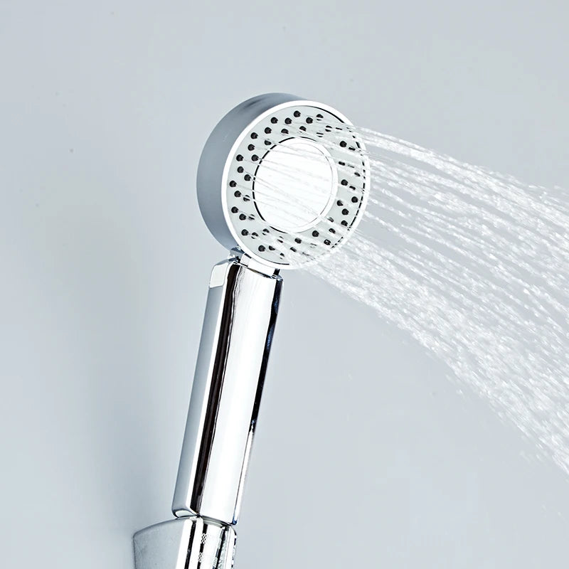 Pommeau de Douche Double Face Chromé, Rond 8 cm, Économie d'Eau