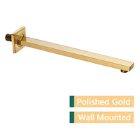 Bras de Douche Mural Support Pomme de Douche Inox Noir