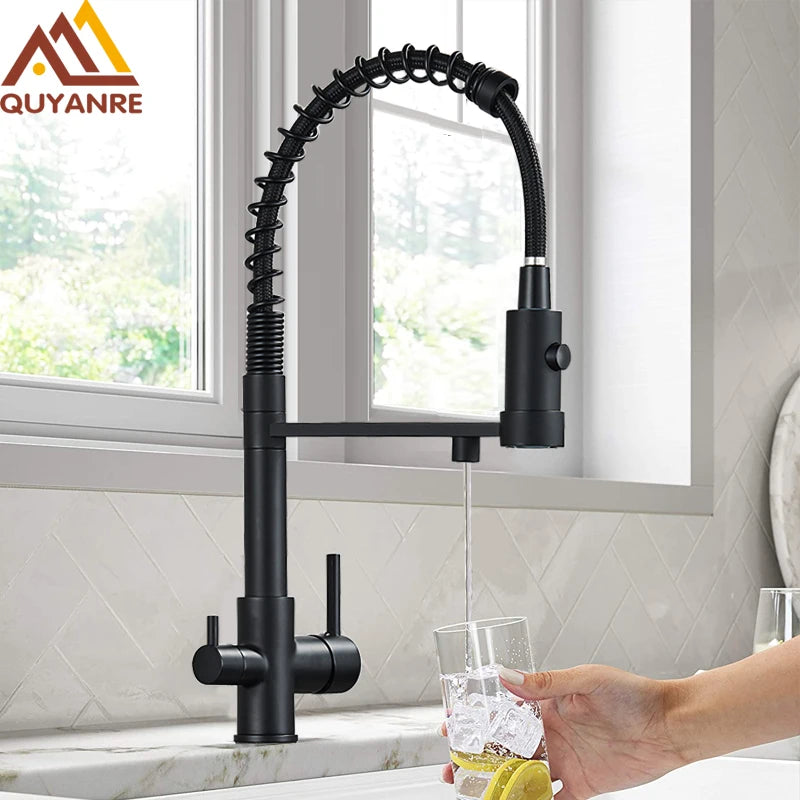 Mitigeur Cuisine Eau Filtrée Douchette Extractible Laiton, 5 Finitions