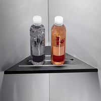 Étagère d'Angle Douche Inox Triangulaire 31 cm à l'Unité, Argent ou Noir