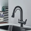 Mitigeur Cuisine Col de Cygne Eau Filtrée Extractible, 8 Finitions
