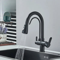 Mitigeur Cuisine Col de Cygne Eau Filtrée Extractible, 8 Finitions