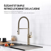Mitigeur de Cuisine en Laiton Poli Bec Extractible