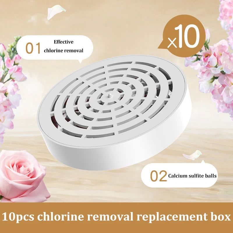 Pommeau de Douche Portable Double Filtration Anti-Chlore, Rond, Blanc ou Gris Fumé