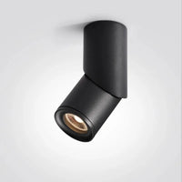 Spot LED Orientable en Saillie pour Cuisine, Noir ou Blanc, 10 à 25 W