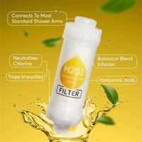 Filtre de Douche Vitamine C Parfumé, 15 Parfums, Seul ou en Lot