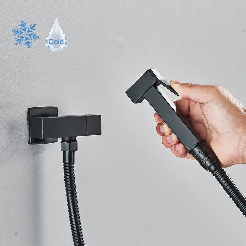 Douchette WC Pistolet Inox Eau Froide Seule