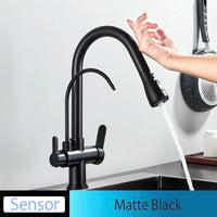 Mitigeur Cuisine Douchette Extractible avec Bec Eau Filtrée, Double Poignée