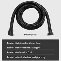 Flexible de Douche Renforcé Noir et Argenté 150-200 cm