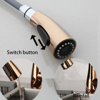Mitigeur de Cuisine Extractible 2 Modes de Jet Pivotant
