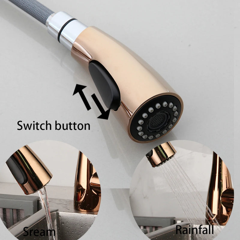 Mitigeur de Cuisine Extractible 2 Modes de Jet Pivotant
