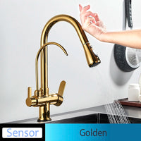 Mitigeur Cuisine Douchette Extractible avec Bec Eau Filtrée, Double Poignée
