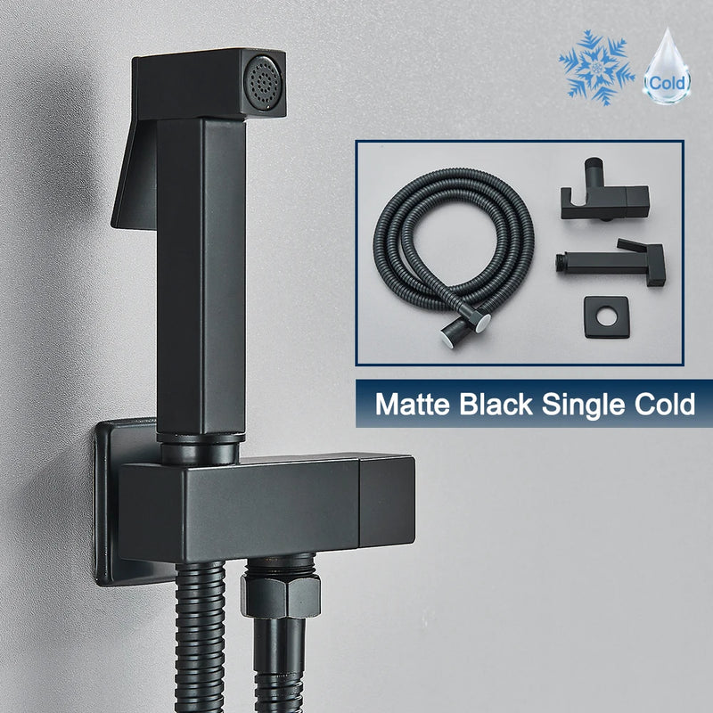 Douchette WC Pistolet Inox Eau Froide Seule