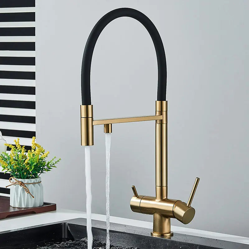 Mitigeur Cuisine Eau Filtrée 3 Voies Double Bec, 11 Modèles