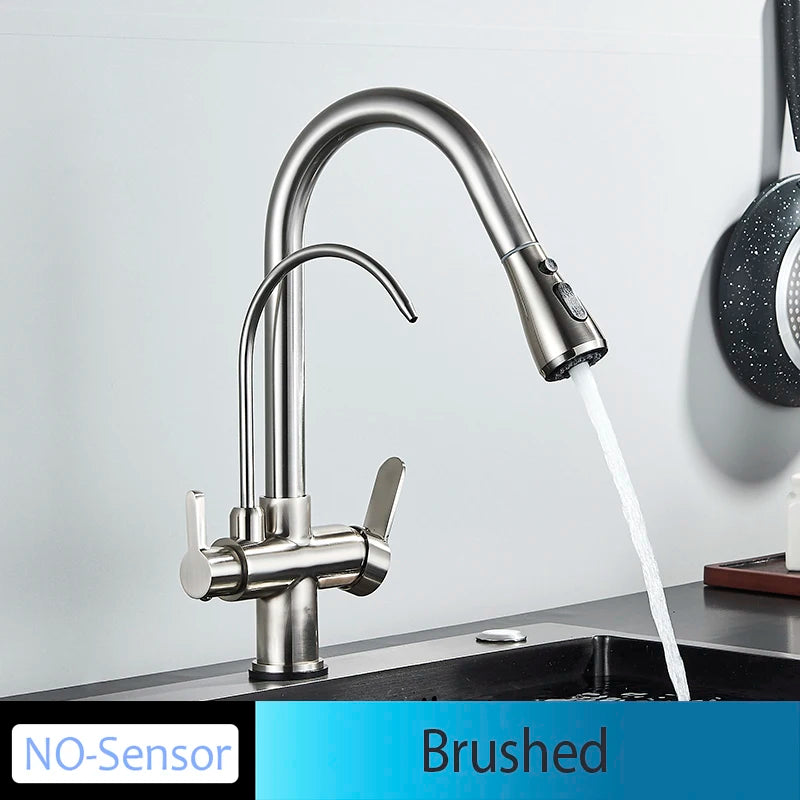 Mitigeur Cuisine Douchette Extractible avec Bec Eau Filtrée, Double Poignée