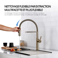 Mitigeur de Cuisine en Laiton Poli Bec Extractible