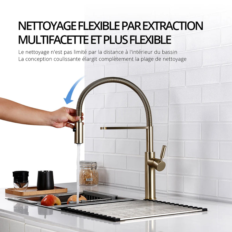 Mitigeur de Cuisine en Laiton Poli Bec Extractible