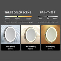 Miroir Grossissant Mural LED Rechargeable USB, Double Face 3x à 10x, 20 cm