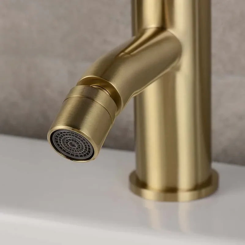 Mitigeur Bidet Monotrou en Laiton à Jet Orientable, 4 Finitions