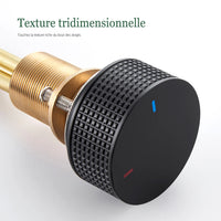 Mitigeur Lavabo Haut 2 Trous Laiton, Bec Pivotant 360°, 5 Finitions
