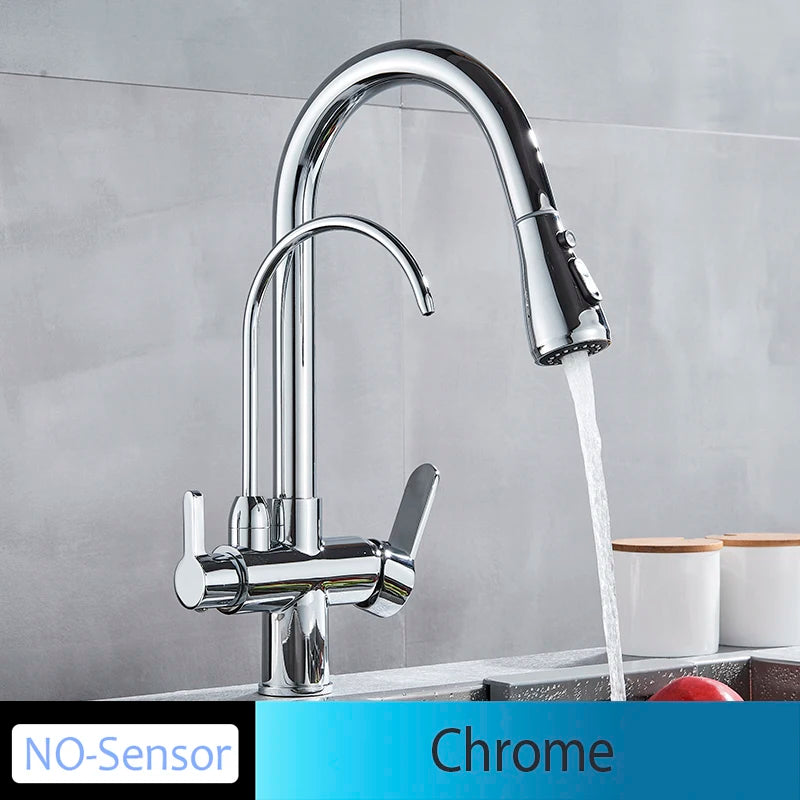 Mitigeur Cuisine Douchette Extractible avec Bec Eau Filtrée, Double Poignée
