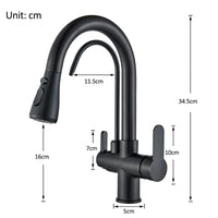 Mitigeur Cuisine Douchette Extractible avec Bec Eau Filtrée, Double Poignée