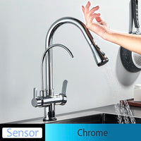 Mitigeur Cuisine Douchette Extractible avec Bec Eau Filtrée, Double Poignée