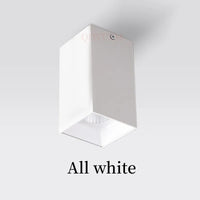Spot LED en Saillie Cuisine Carré Anti-Éblouissement, 7 à 24 W, Noir ou Blanc
