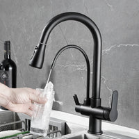 Mitigeur Cuisine Douchette Extractible avec Bec Eau Filtrée, Double Poignée