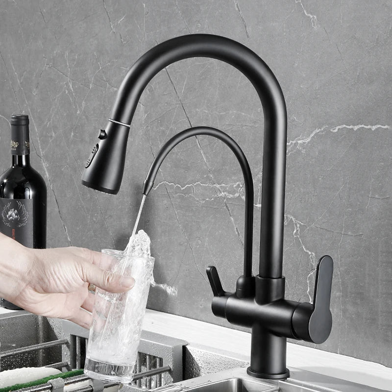 Mitigeur Cuisine Douchette Extractible avec Bec Eau Filtrée, Double Poignée