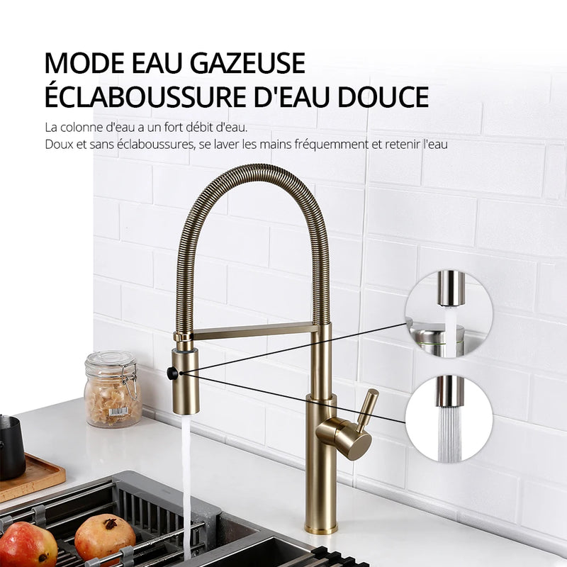 Mitigeur de Cuisine en Laiton Poli Bec Extractible