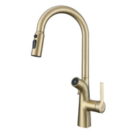 Mitigeur de Cuisine Extractible avec Filtre à Eau Double Bec