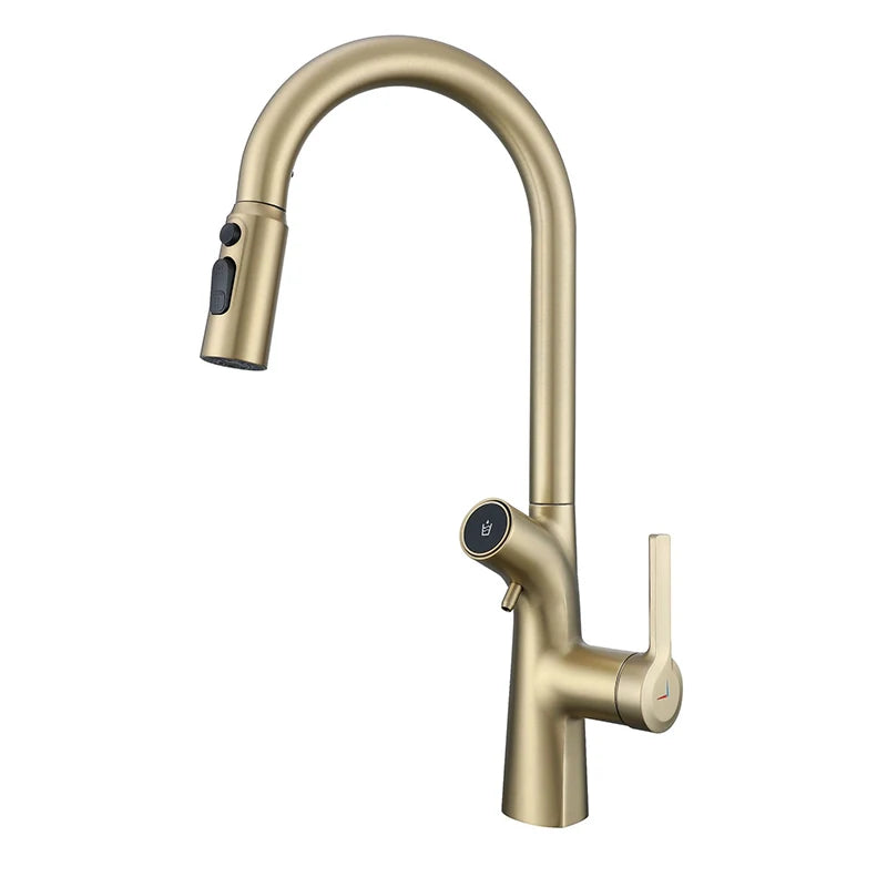 Mitigeur de Cuisine Extractible avec Filtre à Eau Double Bec