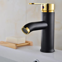 Mitigeur de Lavabo à Trou Unique en Acier Inoxydable