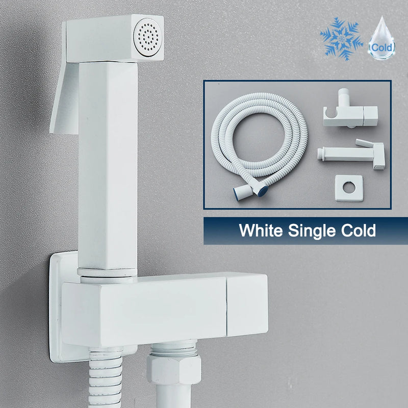 Douchette WC Pistolet Inox Eau Froide Seule