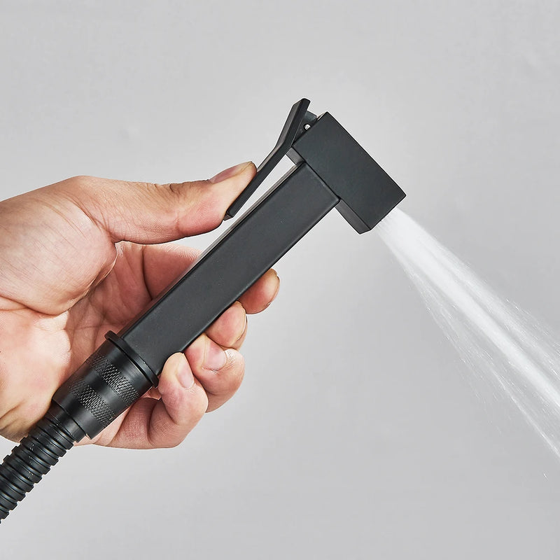Douchette WC Pistolet Inox Eau Froide Seule