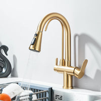 Mitigeur Cuisine Douchette Extractible avec Bec Eau Filtrée, Double Poignée