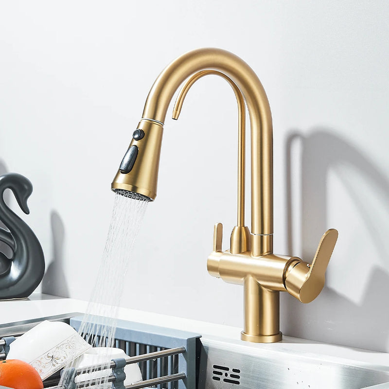 Mitigeur Cuisine Douchette Extractible avec Bec Eau Filtrée, Double Poignée