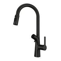 Mitigeur de Cuisine Extractible avec Filtre à Eau Double Bec