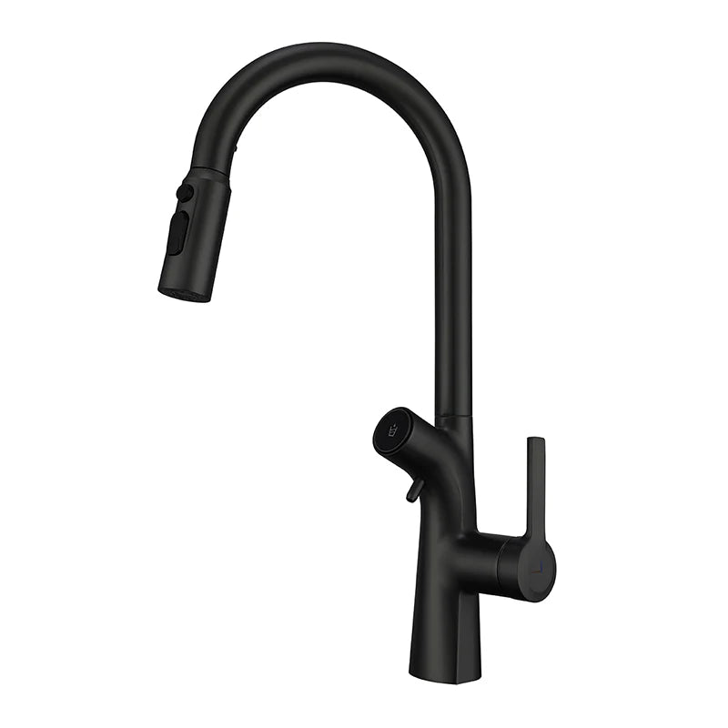 Mitigeur de Cuisine Extractible avec Filtre à Eau Double Bec