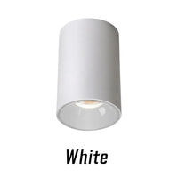 Spot LED Cuisine en Saillie Cylindre COB Anti-Éblouissement Dimmable, 5 à 24 W