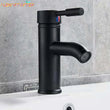 Mitigeur de Lavabo à Trou Unique en Acier Inoxydable