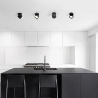 Downlight LED Cuisine Rotatif Dimmable Noir Blanc